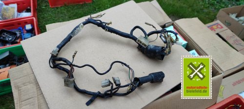 IMG_20230911_154110